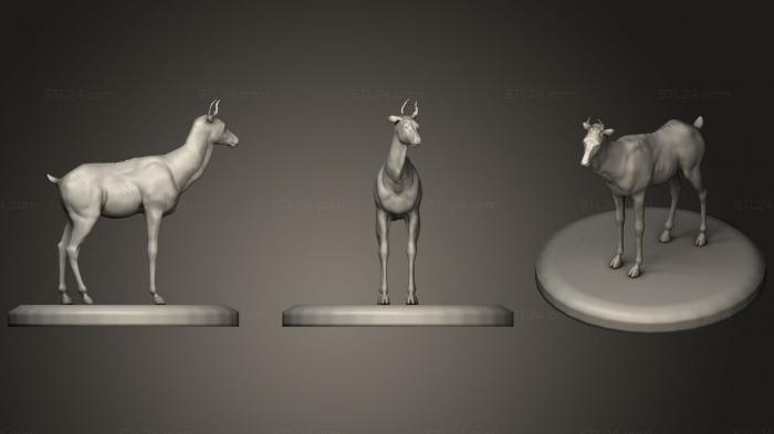 Статуэтки животных (Скульптура оленя в позе, STKJ_1760) 3D модель для ЧПУ станка